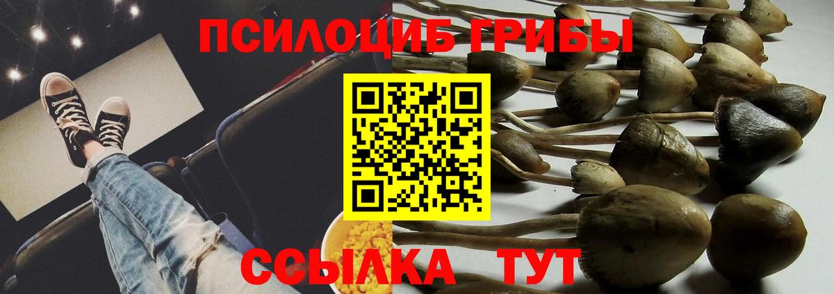 Галлюциногенные грибы мухоморы  Вход с VPN  Феодосия 